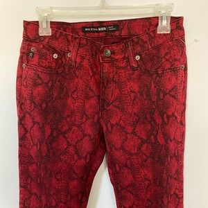 Big Star “Envy Cigarette” red snake print jean